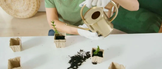 可生物降解塑料测试