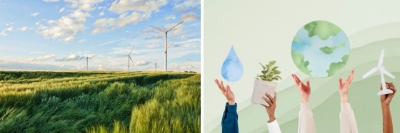 专项培训：可持续发展