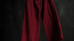 政府服务案例 | Intertek助力“女裤之都”仙桃 打造区域经济质量提升新样本