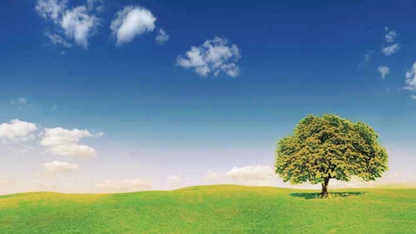 环境风险及有害化学物质排放